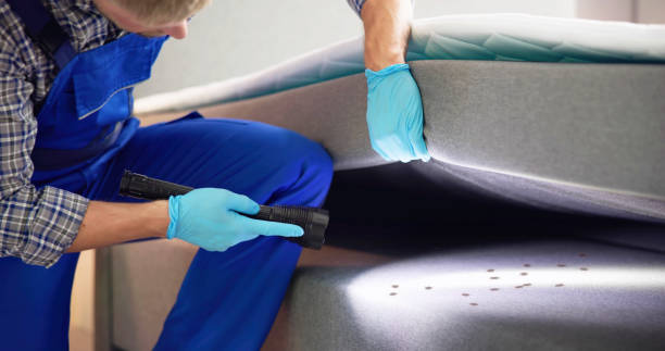 Best Residential Pest Control  in Licking, MO