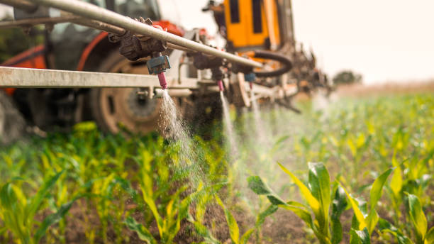 Best Pest Prevention Services  in Licking, MO